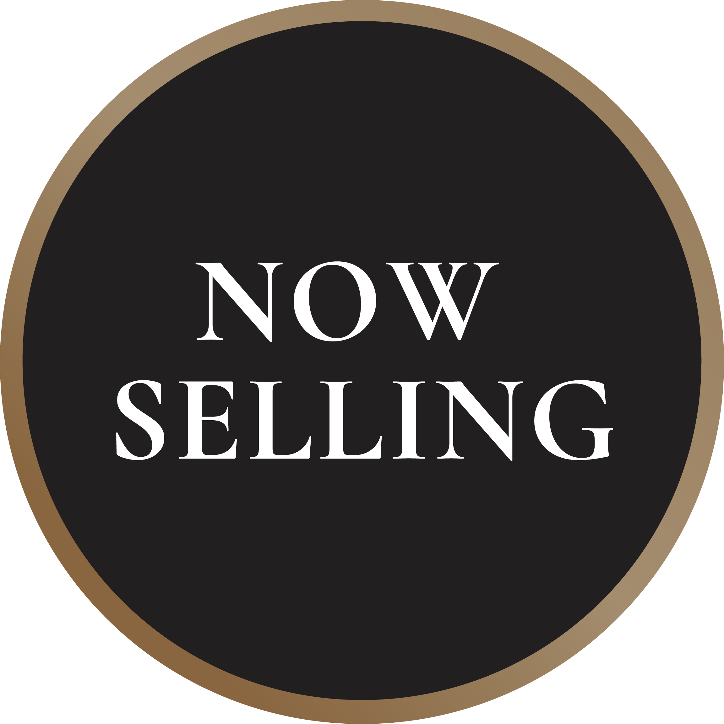VDV Marketing Website 2024-29